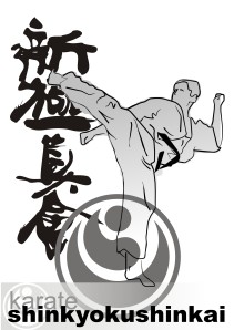 diseño_karateshinkyoku